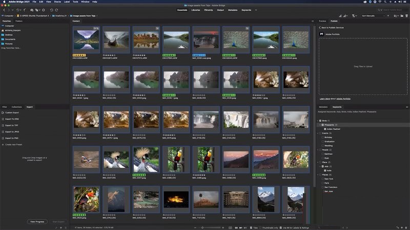 Tải Adobe Bridge 2024 Full Crack Miễn Phí Mới Nhất 2025 + Hướng Dẫn Cài Đặt A-Z